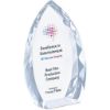 Picture of Altitude Tesla Tower Award