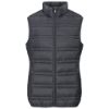 Picture of Mens Lando Bodywarmer