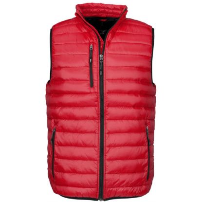 Picture of Ladies Scotia Bodywarmer - Blue