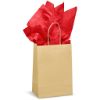 Picture of Altitude Ecological Digital Print Mini Paper Gift Bag 150gsm