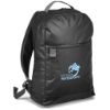 Picture of Sierra Water-Resistant Backpack